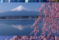 唯美风景视频,探寻唯美风景视频中的绝美瞬间