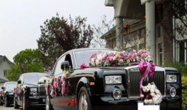 豪华车队震惊中央视频,中央视频记录非凡时刻