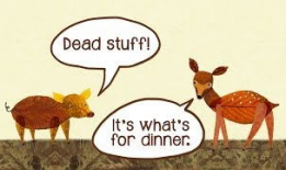 食物链视频,探寻生态系统中能量流转的奇妙旅程