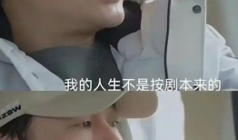 真人性生活视频,私密瞬间大公开